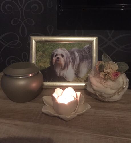 Foto van Lady