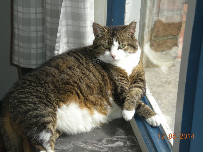 Foto van Molly