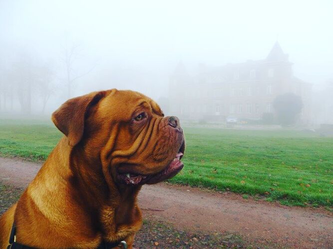 Foto van James