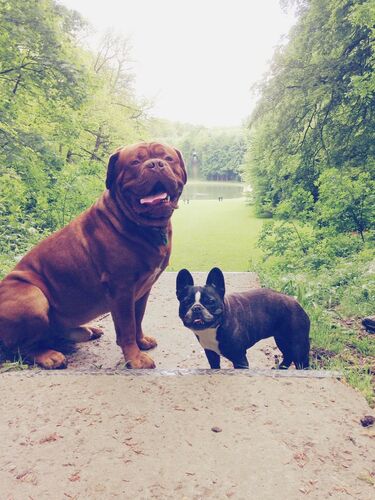 Foto van Aramis & Chupa