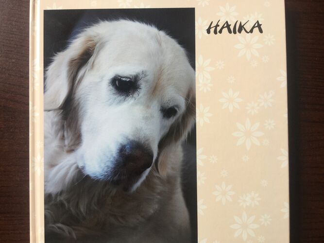 Foto van Haika