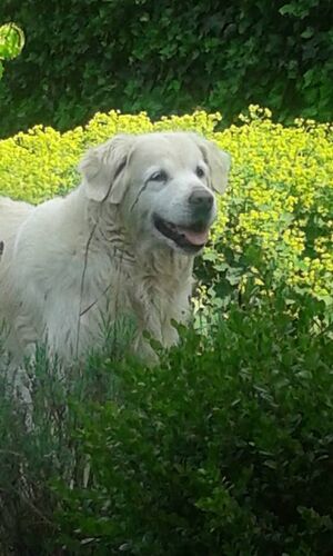 Foto van Jody