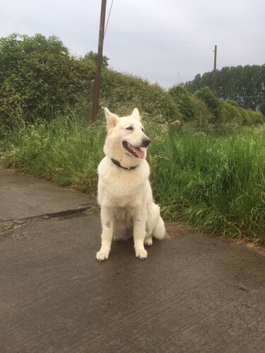 Foto van Bibi