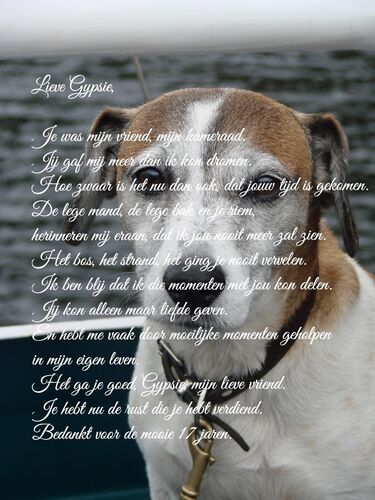 Foto van Gyspie