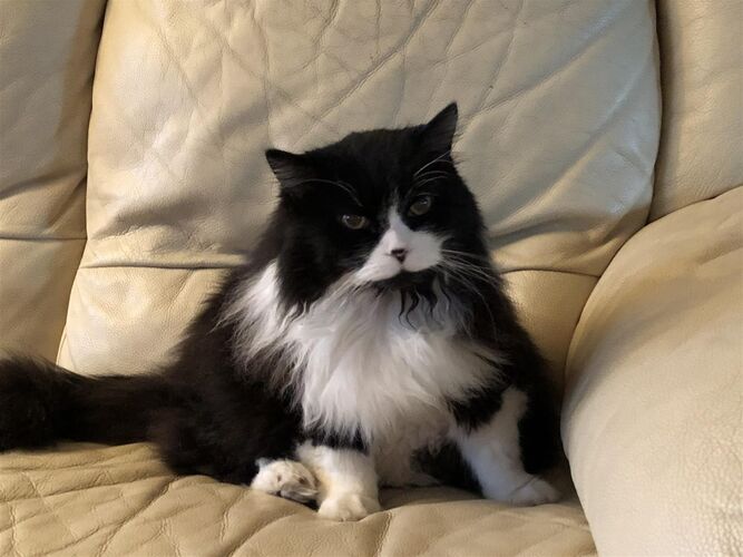 Foto van Lucky