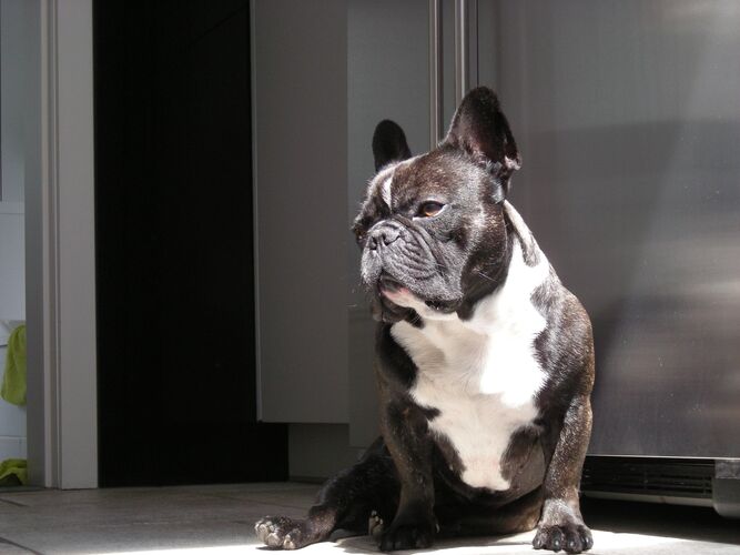 Foto van Louis