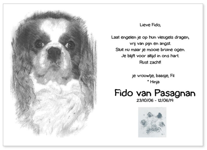 Foto van Fido