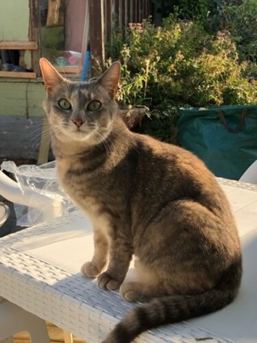 Foto van Nala