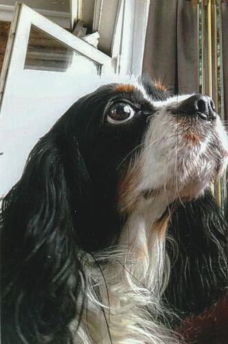 Foto van Zina