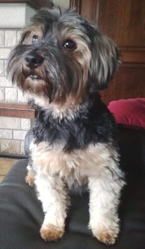 Foto van Aiko