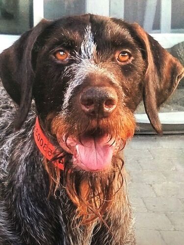 Foto van Alexa