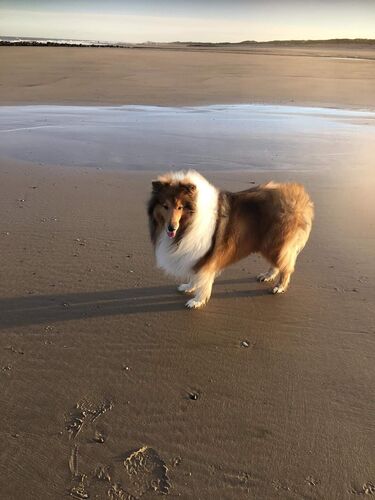 Foto van Amy