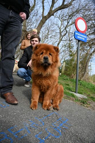 Foto van Angel
