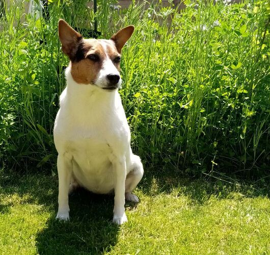 Foto van Belle