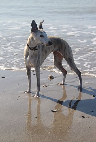 Foto van Billie Jean