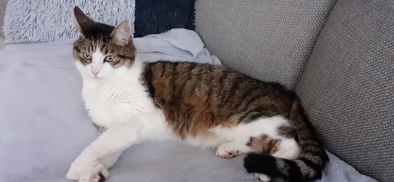 Foto van Billy