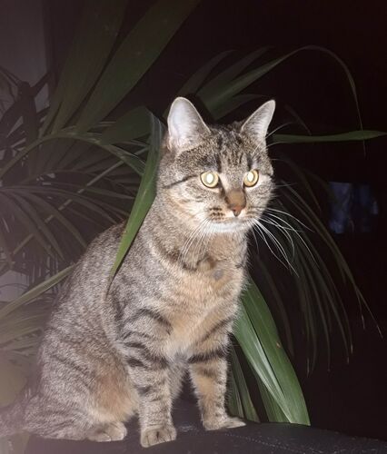 Foto van Bo