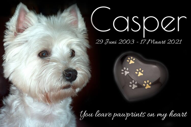 Foto van Casper