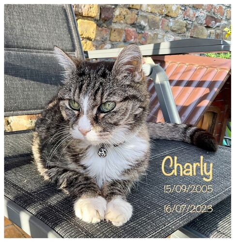 Foto van Charly