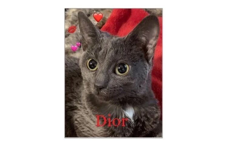 Foto van Dior