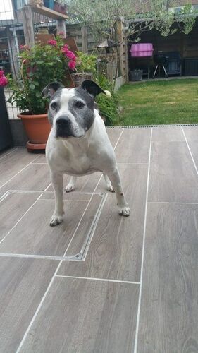 Foto van Donna