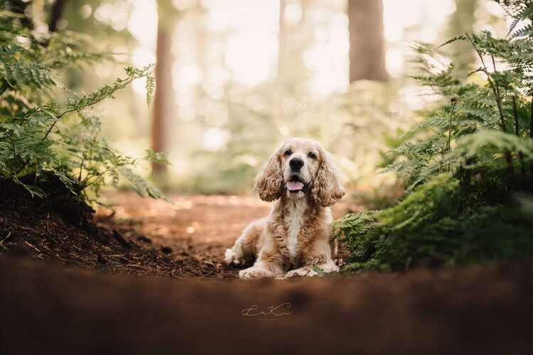 Foto van Duco