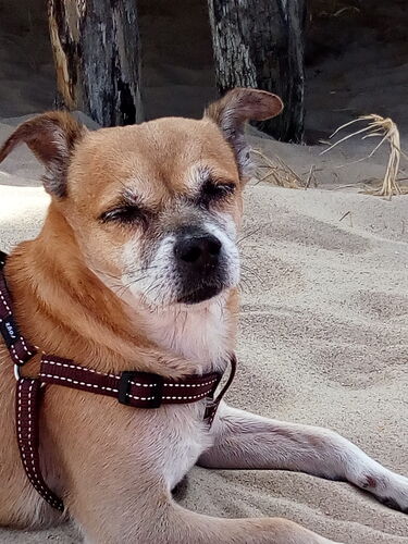 Foto van Efram