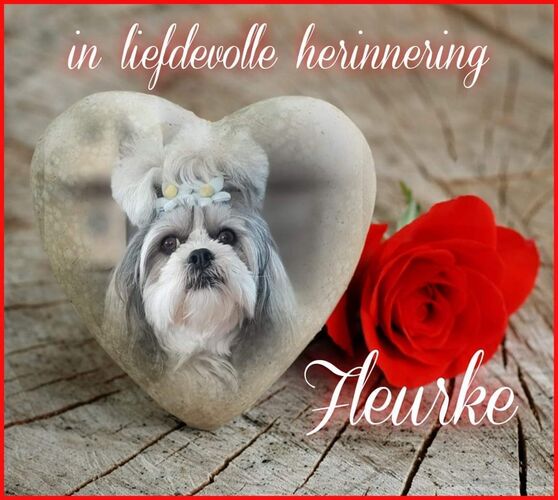 Foto van Fleurke