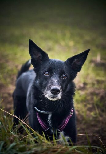 Foto van Audry