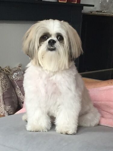 Foto van Cleo