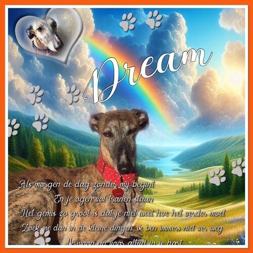 Foto van Dream