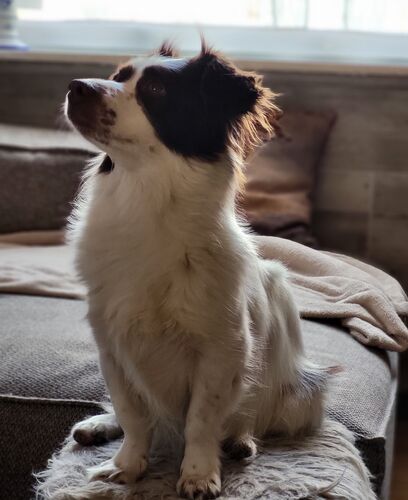 Foto van Sky