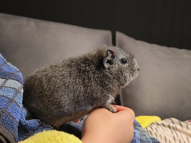 Foto van Lelia