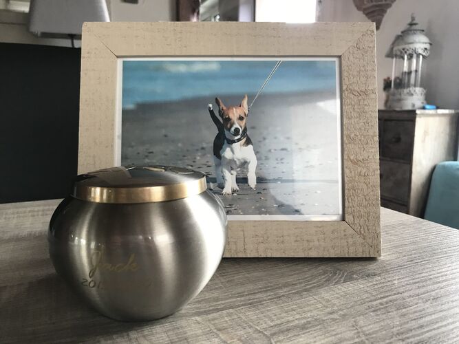 Foto van Jack