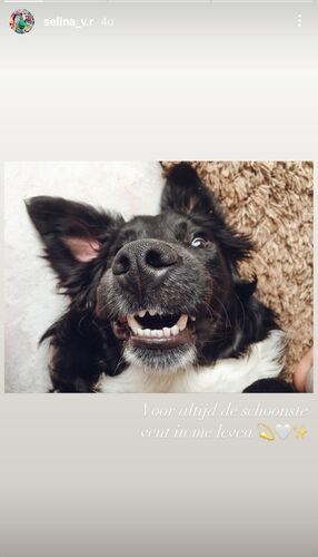 Foto van Jack