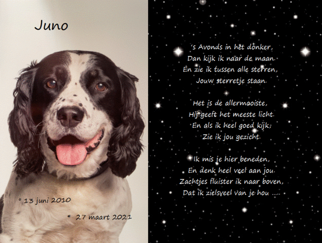 Foto van Juno
