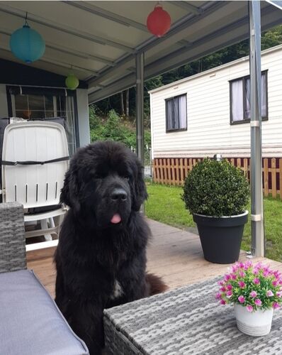 Foto van Lara