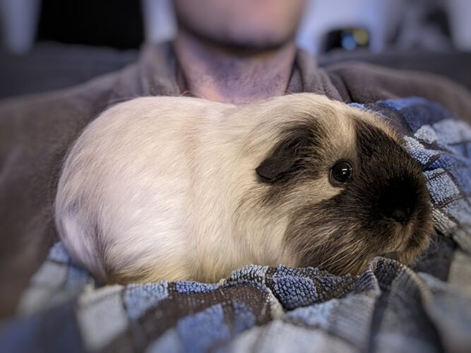 Foto van Lilli