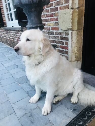 Foto van Lulu