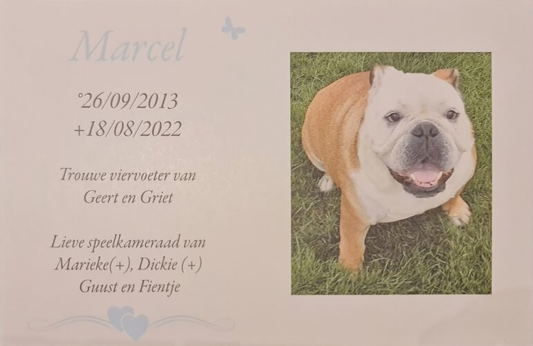 Foto van Marcel