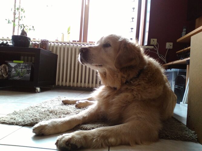 Foto van Max