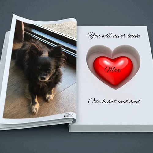 Foto van Max