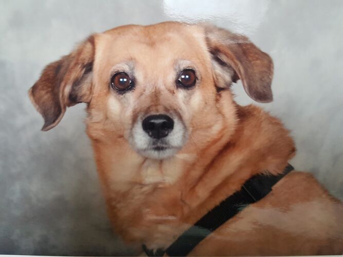 Foto van Mies Daisy