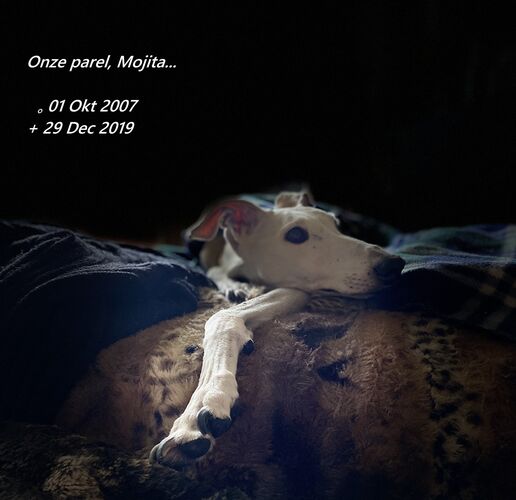 Foto van Mojita