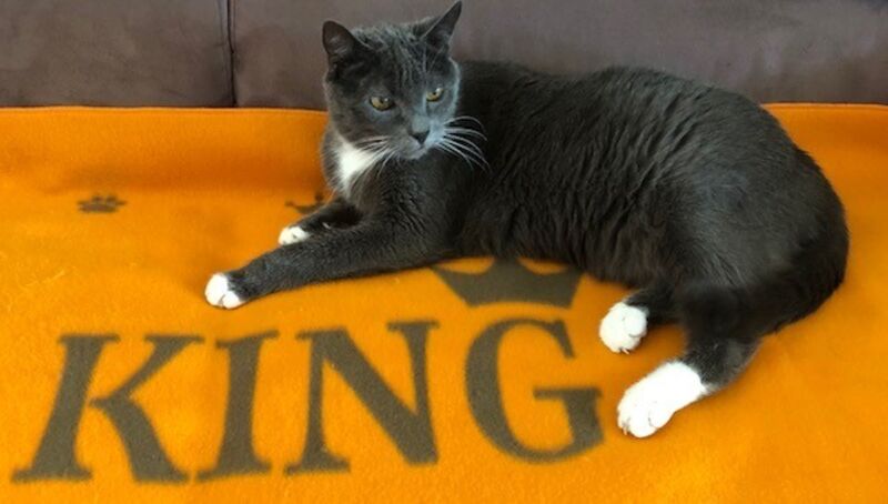 Foto van Ozzy