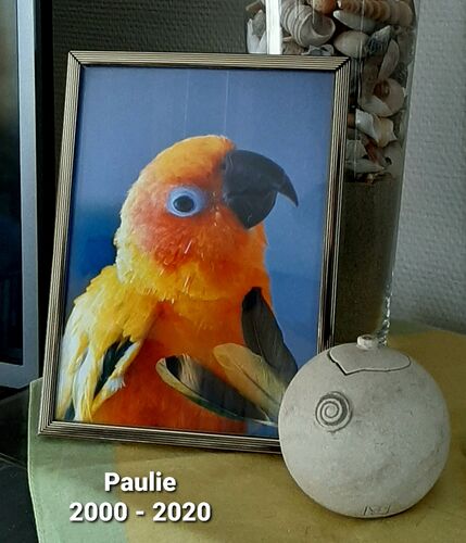 Foto van Paulie
