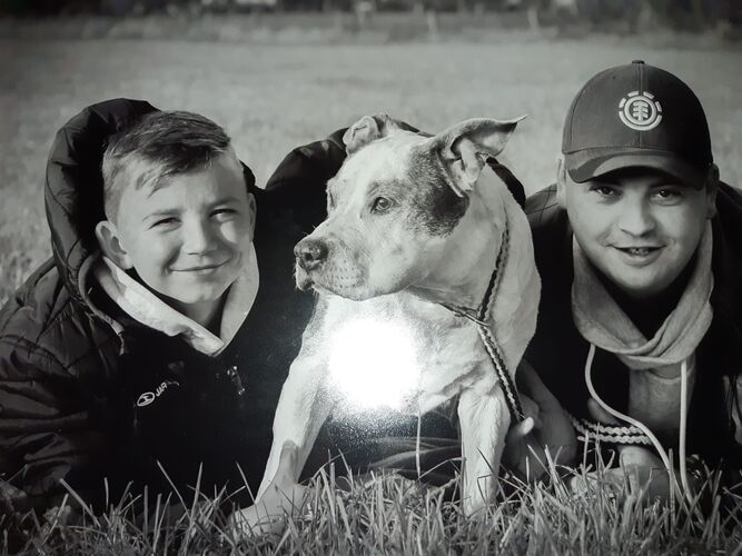 Foto van Pitou