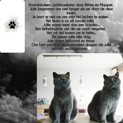 Foto van Bitties en Muppet