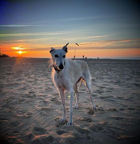 Foto van Sally