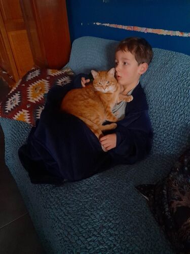 Foto van Toby